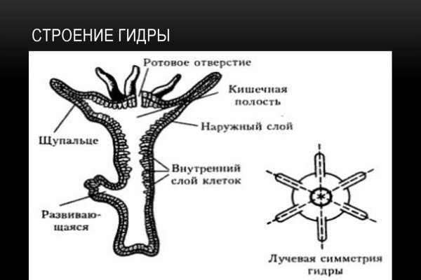 Кракен маркетплейс почему не закроют
