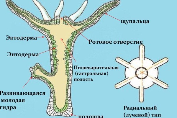 Кракен купить наркотики